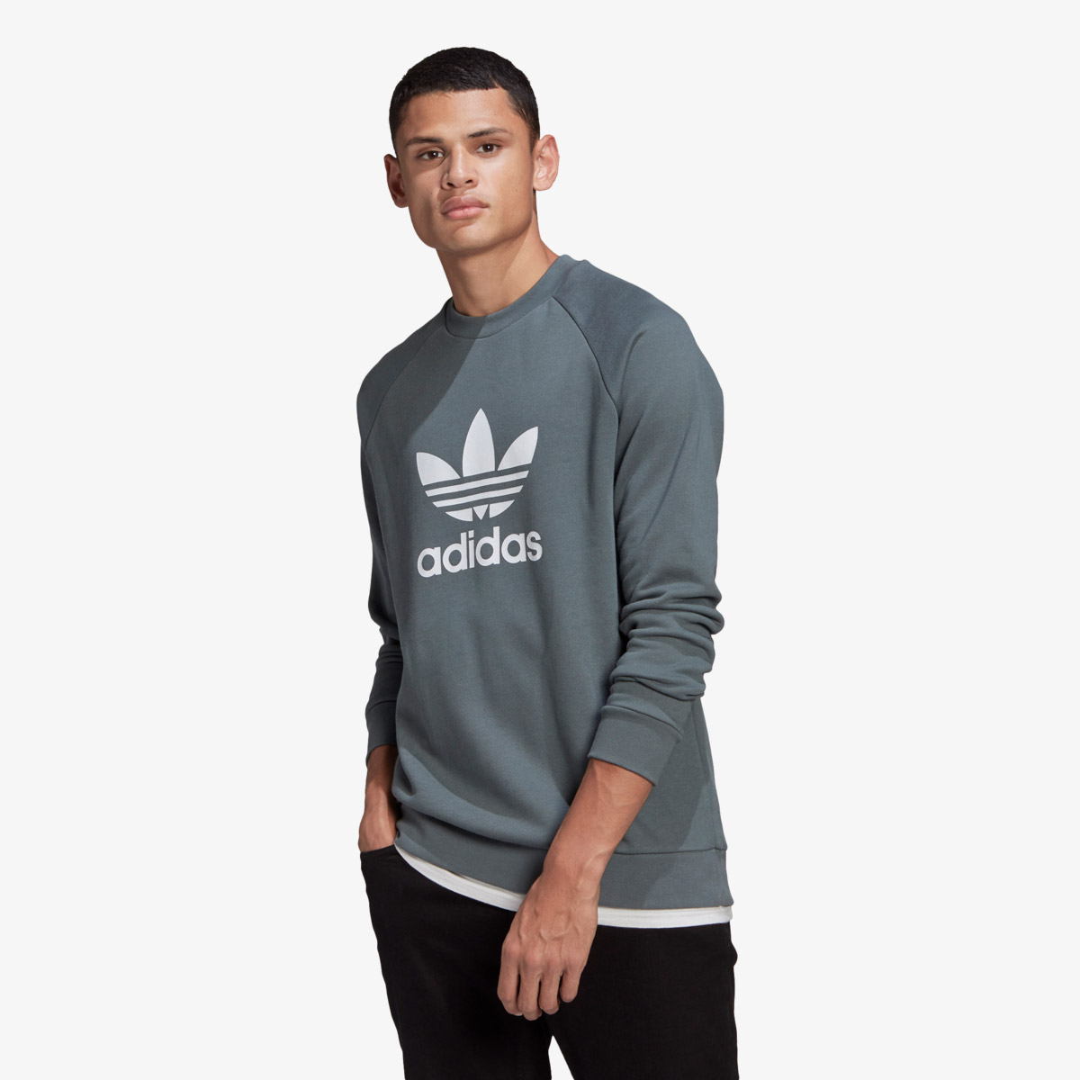 adidas Pulover PULOVER TREFOIL CREW 