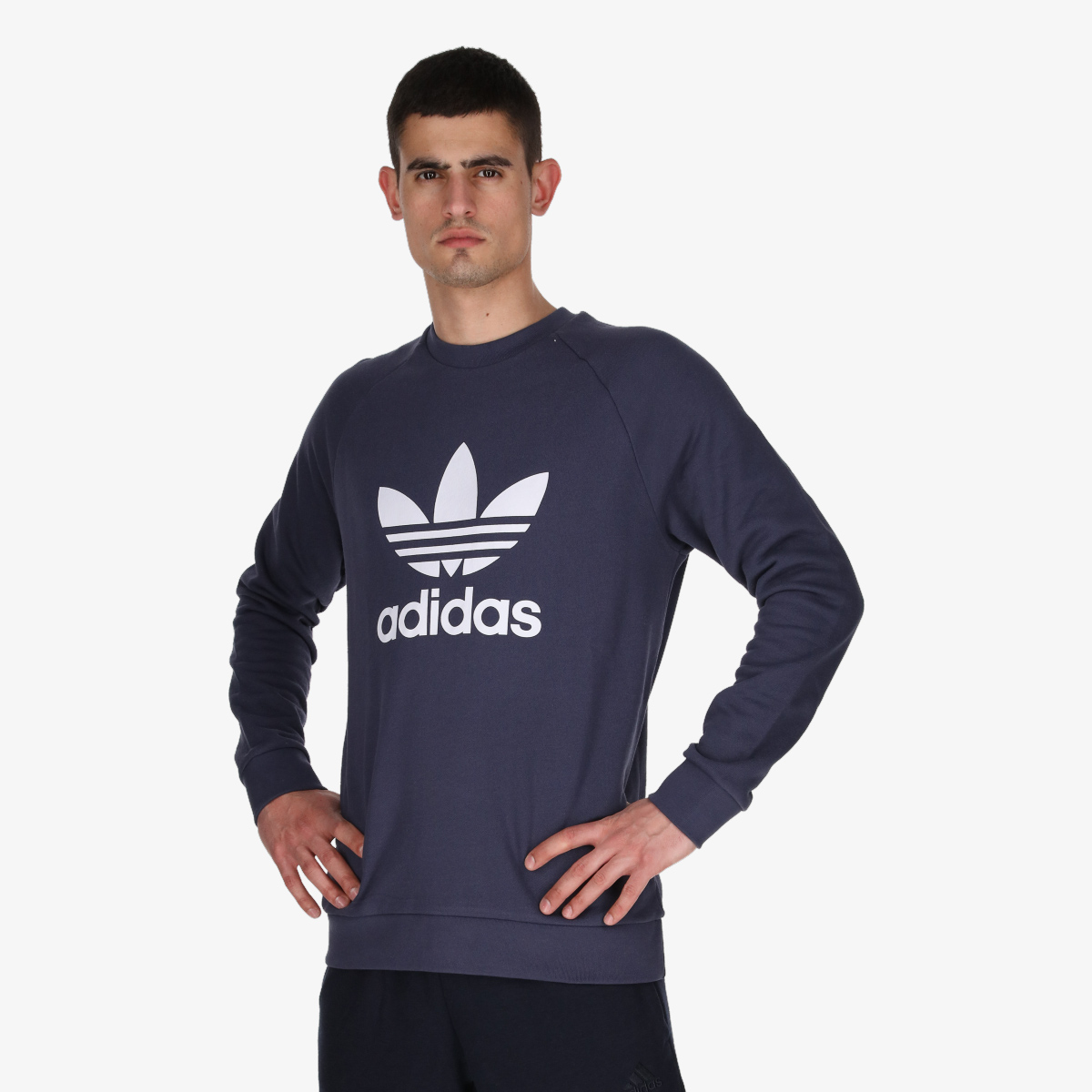 adidas Pulover TREFOIL CREW Buzz Sneaker Station Online Shop