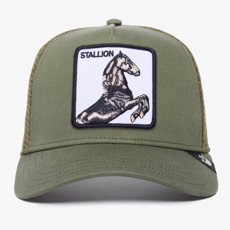 GOORIN BROS Šilterica The Stallion 