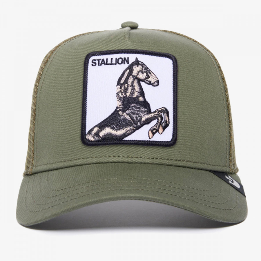 GOORIN BROS Šilterica The Stallion 