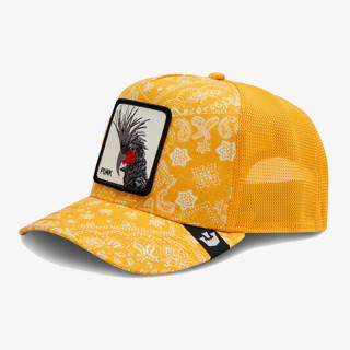 GOORIN BROS Šilterica Spray Paint Arch 