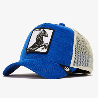 GOORIN BROS Šilterica Sly Stallione 