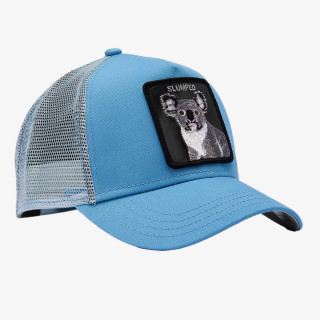 GOORIN BROS Šilterica The Slumped Koala 