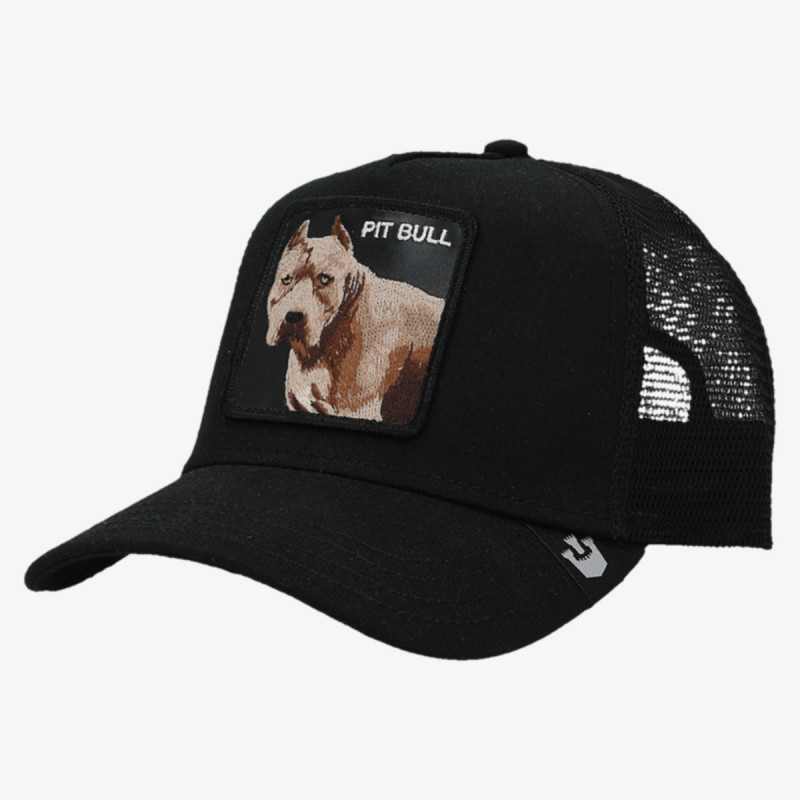 GOORIN BROS Šilterica The Dog Pitbull 
