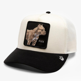 GOORIN BROS Šilterica The Suede Pitbull 
