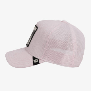 GOORIN BROS Šilterica TERRY CLOTH KOALA 