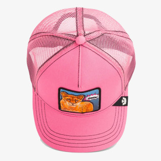 GOORIN BROS Šilterica POPART - QUEEN LION 