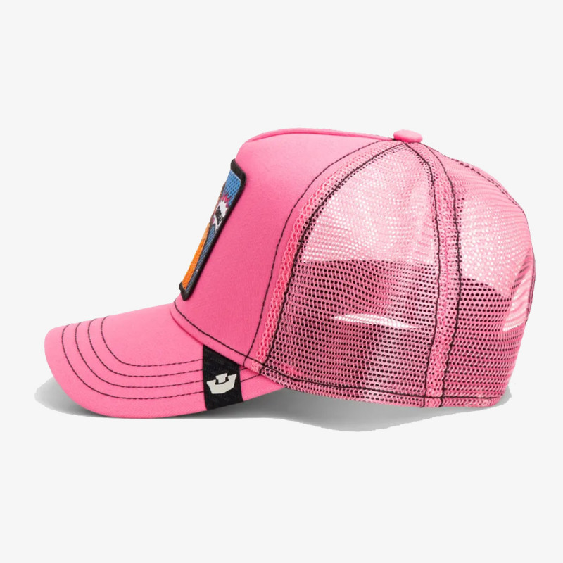 GOORIN BROS Šilterica POPART - QUEEN LION 