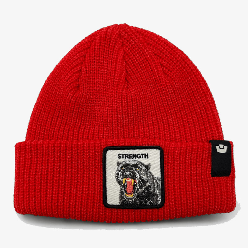 GOORIN BROS Šilterica THE STRENGTH BEANIE 