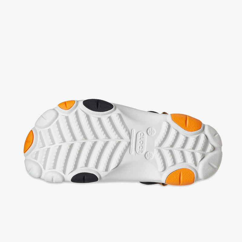 12977 wbgd discount