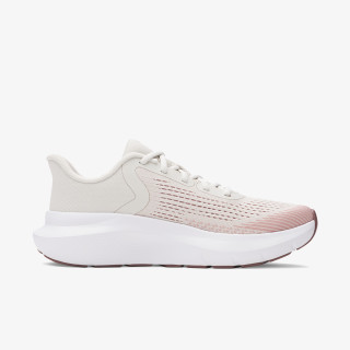 UNDER ARMOUR Tenisice Charged Rogue 5 