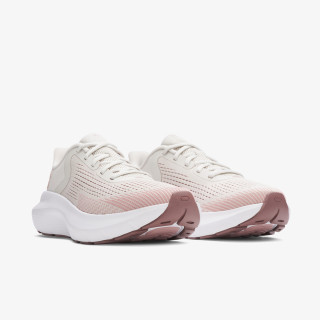 UNDER ARMOUR Tenisice Charged Rogue 5 