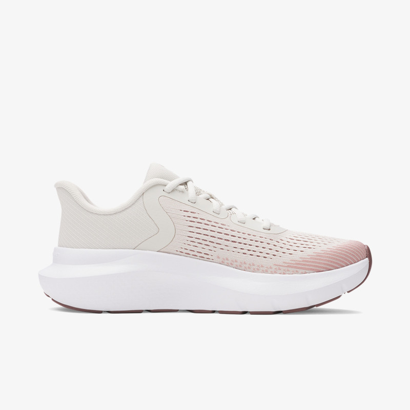 UNDER ARMOUR Tenisice Charged Rogue 5 