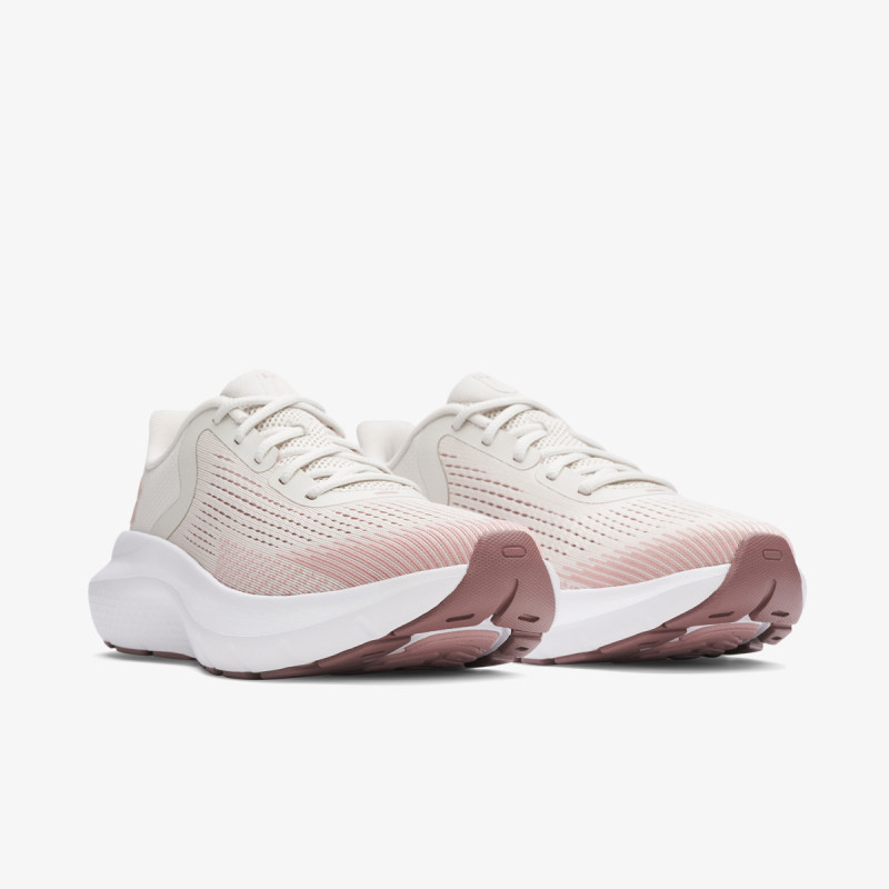 UNDER ARMOUR Tenisice Charged Rogue 5 