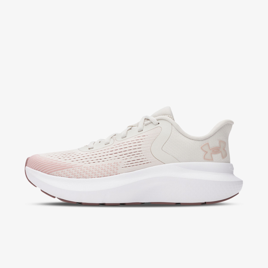 UNDER ARMOUR Tenisice Charged Rogue 5 