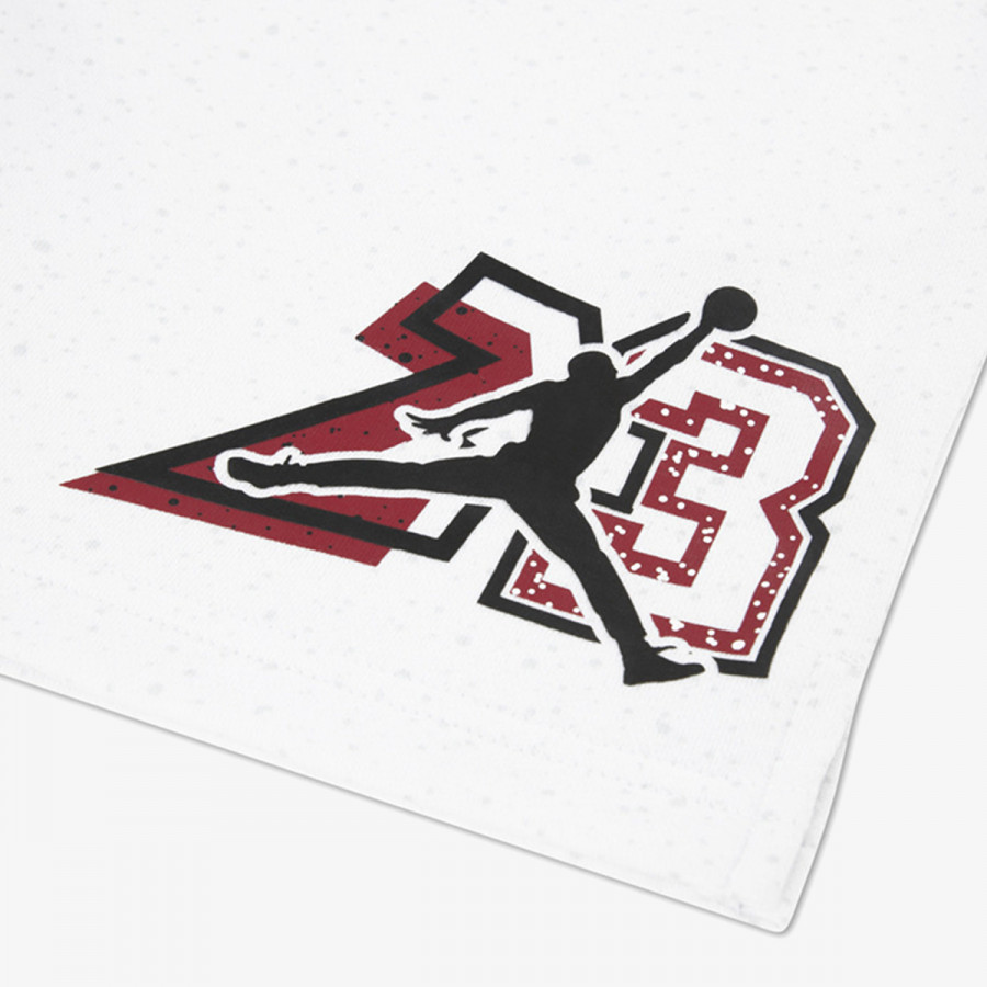 JORDAN Kratke hlače In The Paint 