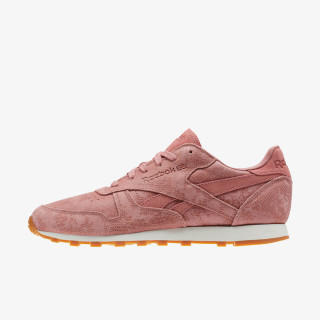 Reebok Tenisice CL LTHR CLEAN EXOTICS 
