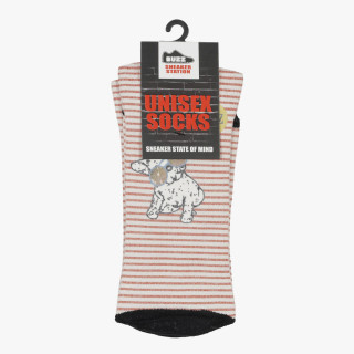 BUZZ Čarape BUZZ SOCKS FRENCHIE PUPPY 