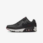 NIKE Tenisice AIR MAX 90 LTR 