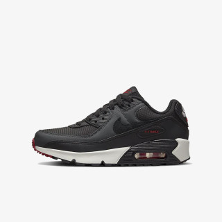 NIKE Tenisice AIR MAX 90 LTR 