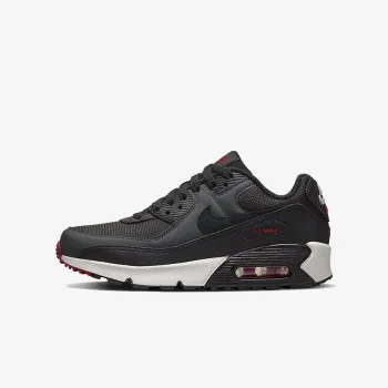 NIKE Tenisice AIR MAX 90 LTR 