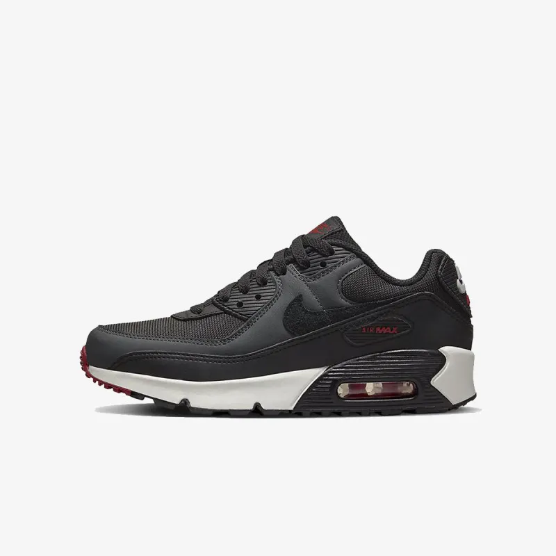 NIKE Tenisice AIR MAX 90 LTR 
