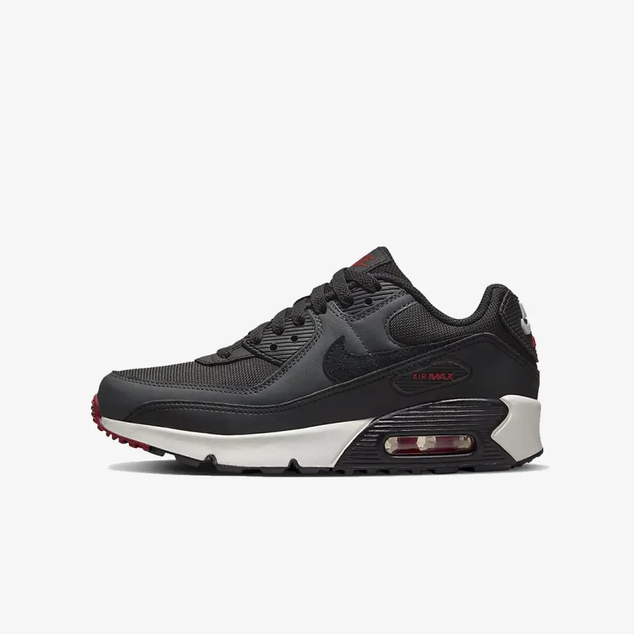 NIKE Tenisice AIR MAX 90 LTR 