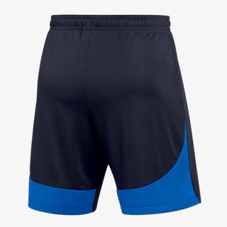 NIKE Kratke hlače Academy Pro 