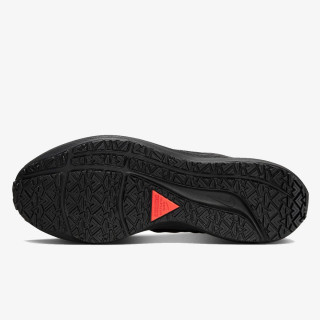 NIKE Tenisice AIR ZOOM PEGASUS 39 SHIELD 