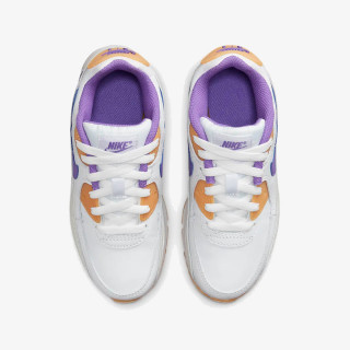 NIKE Tenisice Air Max 90 LTR 