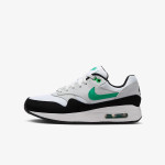 NIKE Tenisice Air Max 1 