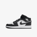 NIKE Tenisice Air Jordan 1 SE 