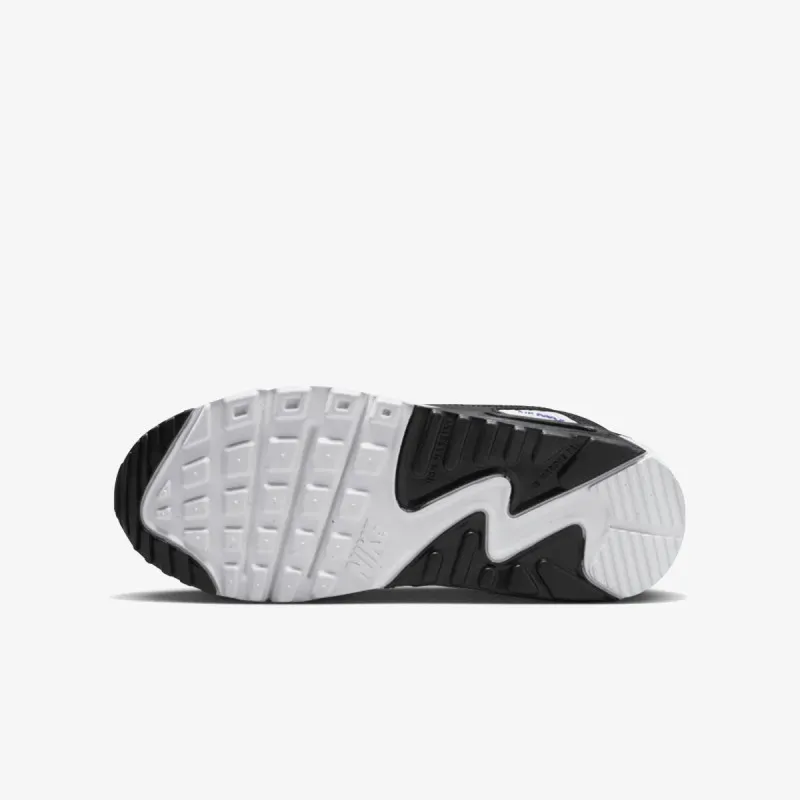 NIKE Tenisice NIKE AIR MAX 90 GS NN DSW 