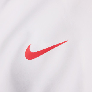 NIKE Majica dugih rukava s patentom Paris Saint-Germain 