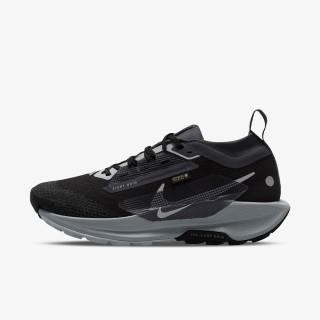 NIKE Tenisice Pegasus Trail 5 Gtx 