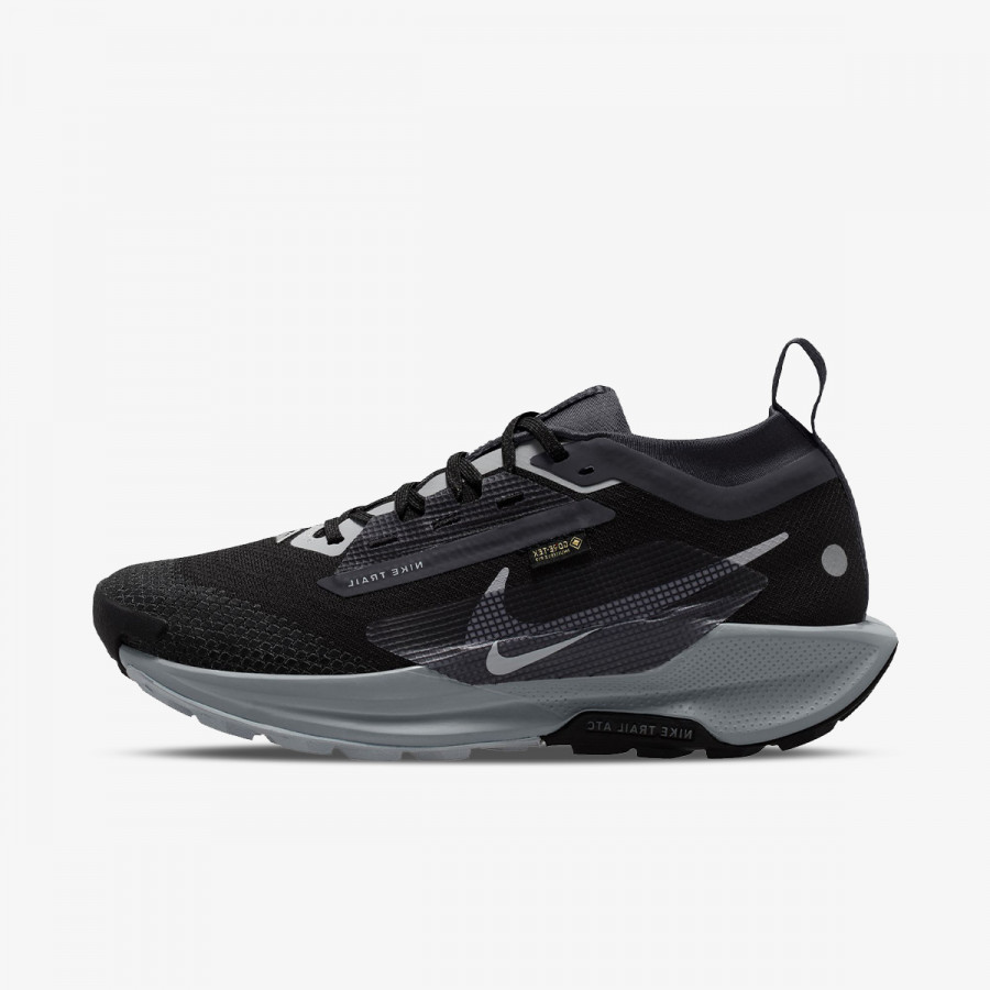 NIKE Tenisice Pegasus Trail 5 Gtx 