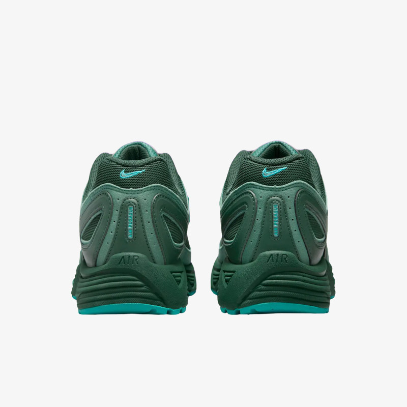 NIKE Tenisice Air Pegasus 2005 Wntr 