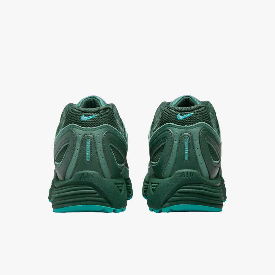 NIKE Tenisice Air Pegasus 2005 Wntr 