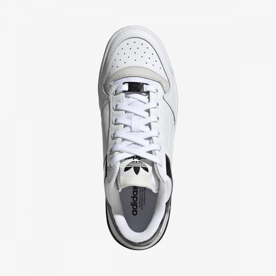 adidas Tenisice Forum Bold 