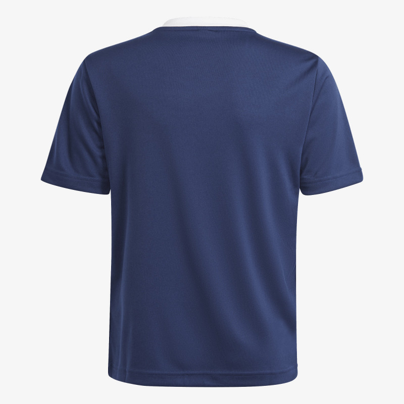 adidas JERSEY Entrada 22 