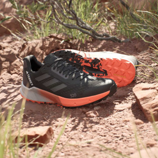 adidas Tenisice TERREX AGRAVIC FLOW 2 