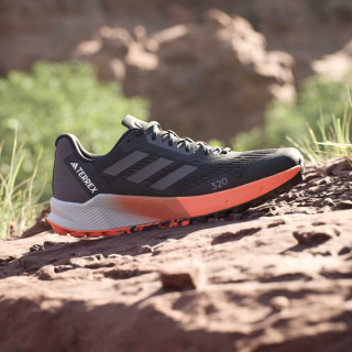 adidas Tenisice TERREX AGRAVIC FLOW 2 