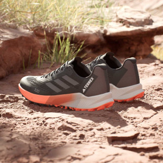 adidas Tenisice TERREX AGRAVIC FLOW 2 