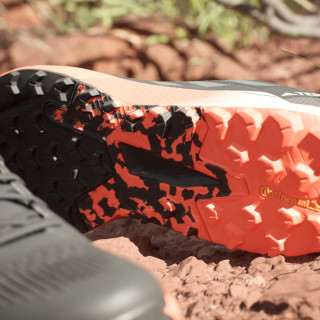 adidas Tenisice TERREX AGRAVIC FLOW 2 