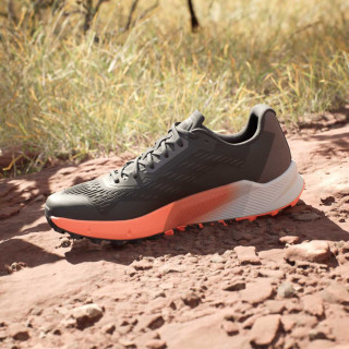 adidas Tenisice TERREX AGRAVIC FLOW 2 