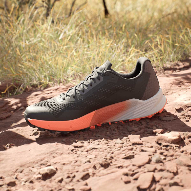 adidas Tenisice TERREX AGRAVIC FLOW 2 