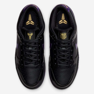 NIKE Tenisice DUNK LOW PROTRO 