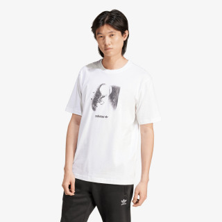 adidas Majica kratkih rukava Training Supply 