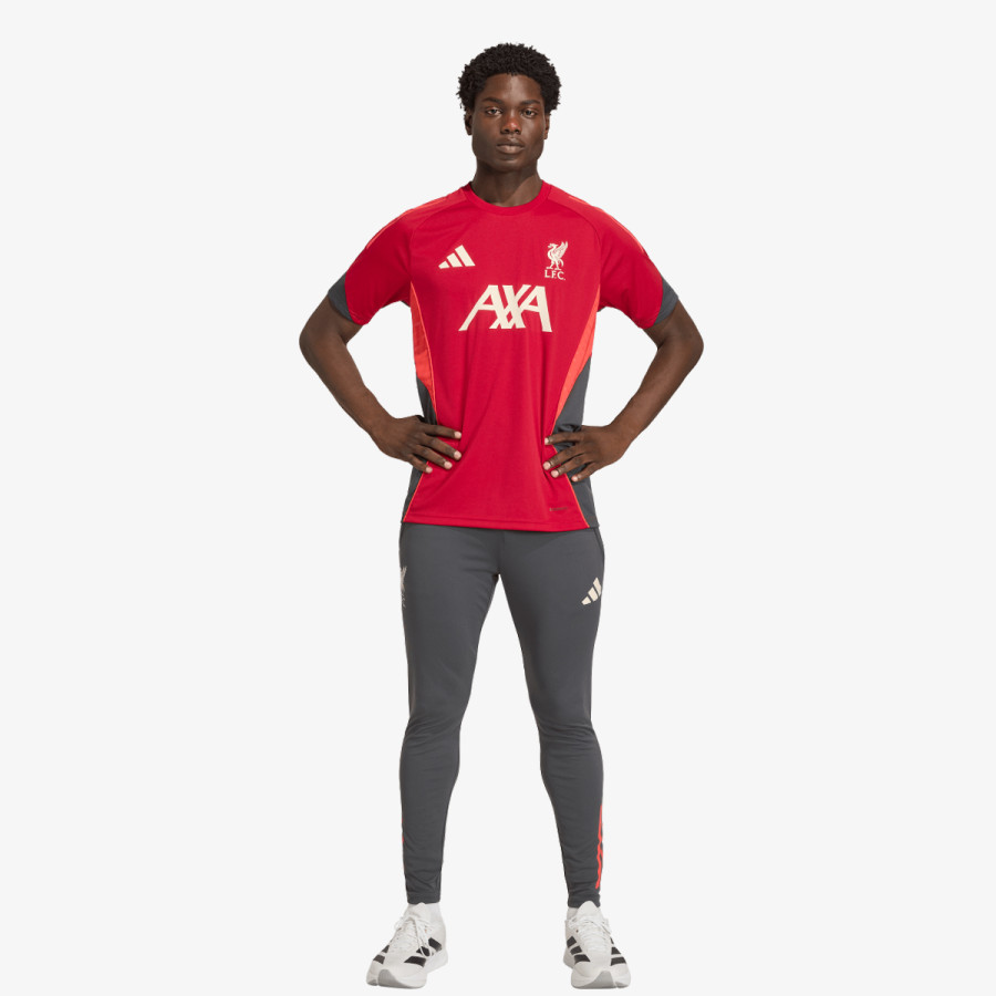 adidas Donji dio trenirke LFC TR PNT 