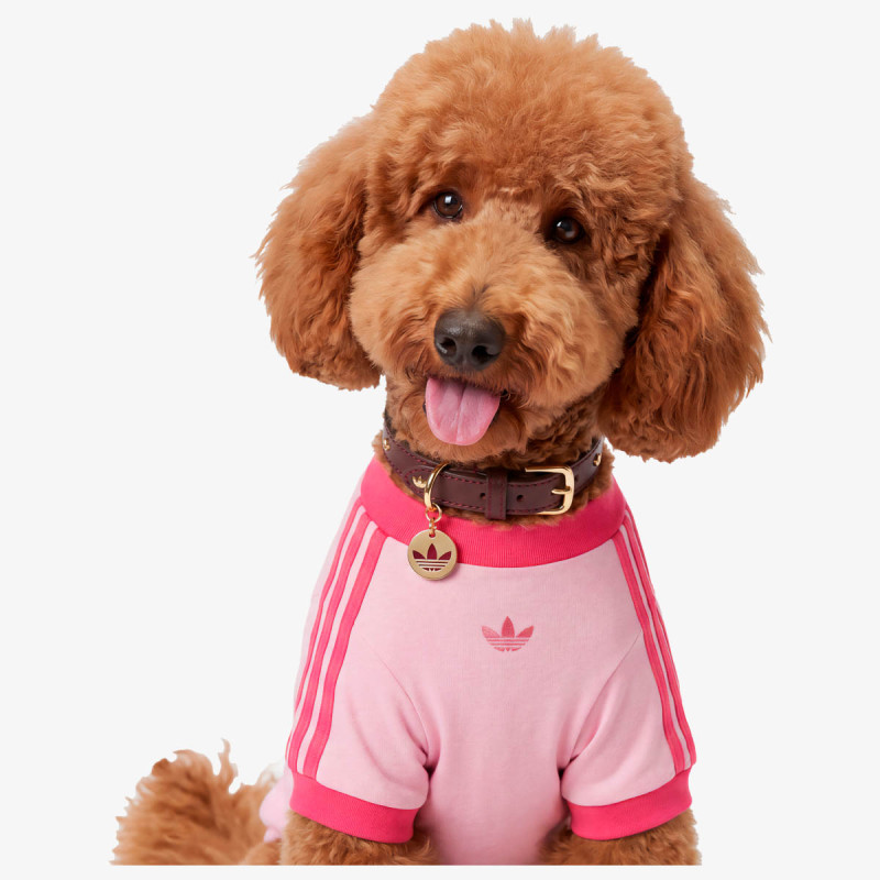 adidas NECKLACE PET PET COLLAR 